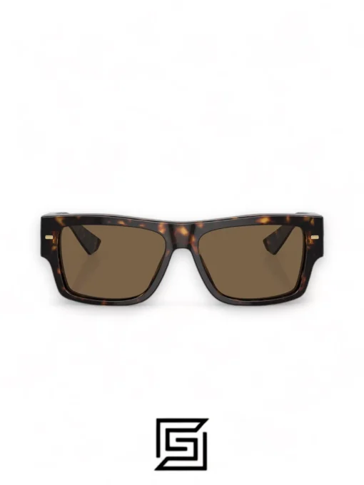 Men,Sunglasses sunglasses DG4451/TIGER - BROWN Dg