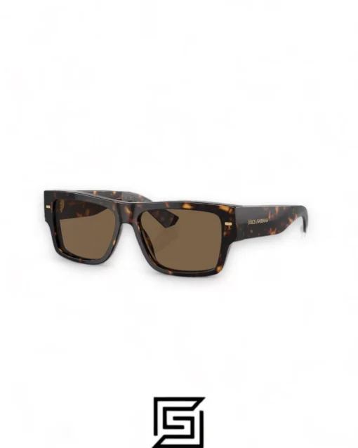 For men,Sunglasses sunglasses DG4451/TIGER - BROWN Dg