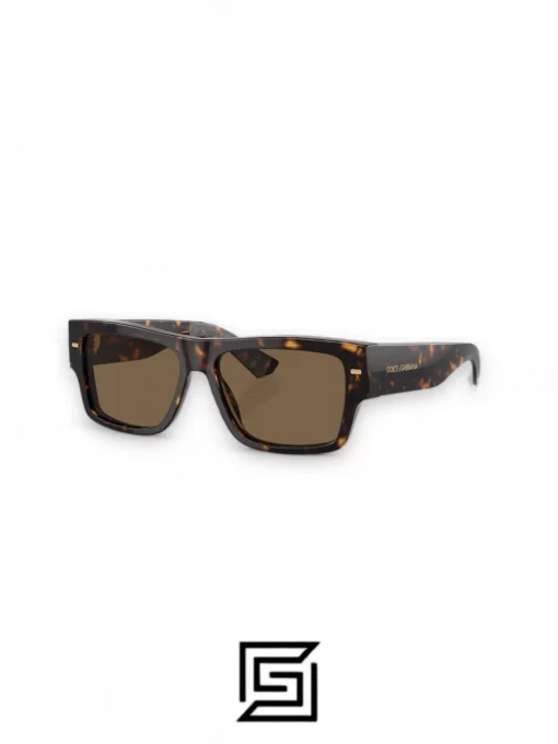 Men,Sunglasses sunglasses DG4451/TIGER - BROWN Dg