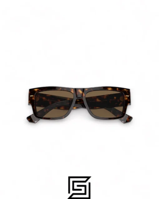 Men,Sunglasses sunglasses DG4451/TIGER - BROWN Dg