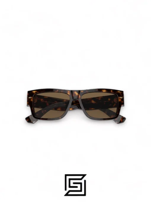 Men,Sunglasses sunglasses DG4451/TIGER - BROWN Dg