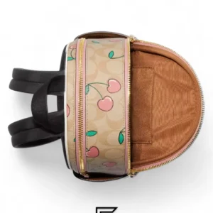 Bags,Leather,Women Coach leather Mini Court Backpack In Signature Canvas With Heart Cherry Print Style No. CF424 Coach