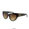 For women,Sunglasses Roberto Cavalli sunglasses SRC017M/TIGER X BROWN Roberto Cavalli