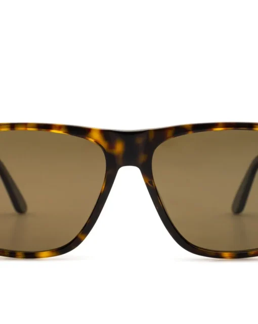 For men,Sunglasses Tom Ford sunglasses FT0832 52H/BROWN X OIL Tom Ford