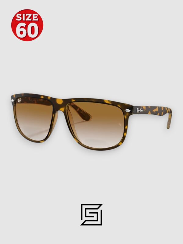 Ray Ban RB4147 Sunglasses Unisex